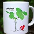 mug DS-090 Arisaema triphyllum 7119
